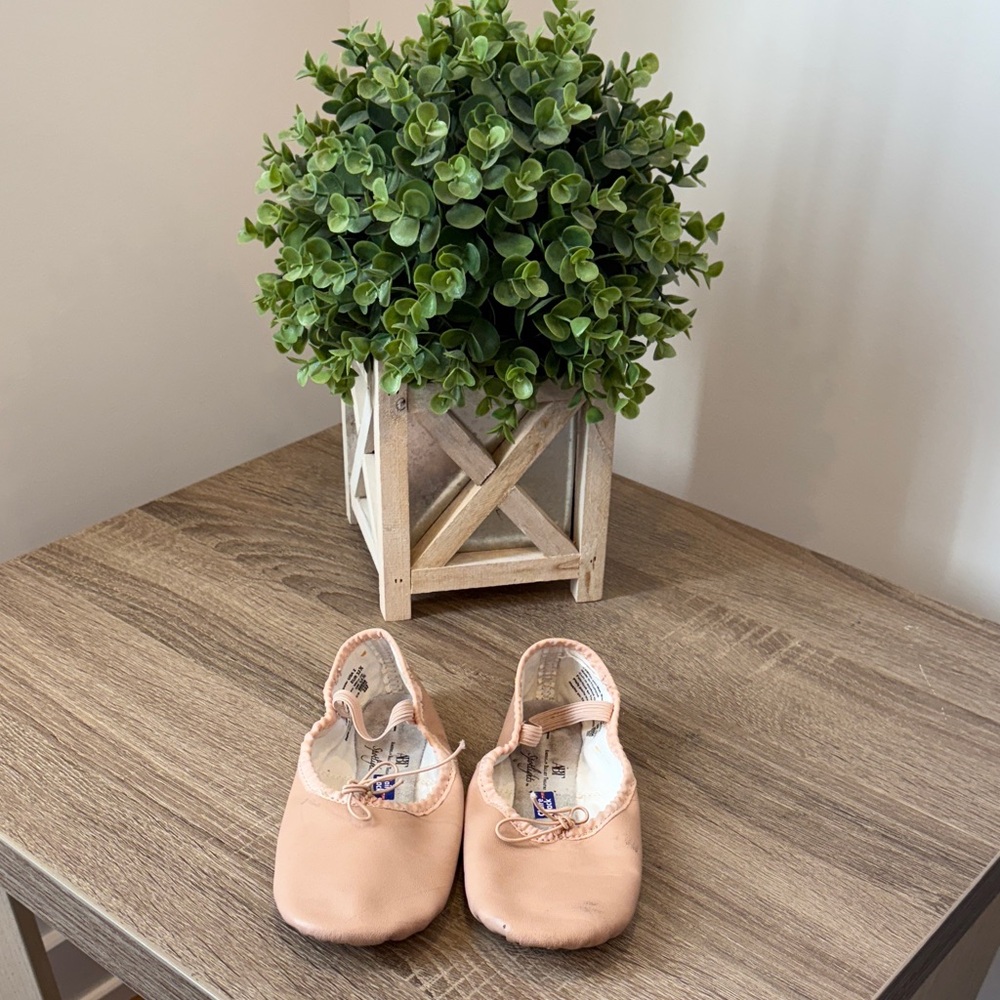 Charming Pink Ballet Slippers